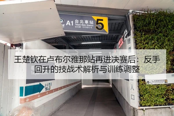 王楚钦在卢布尔雅那站再进决赛后：反手回升的技战术解析与训练调整